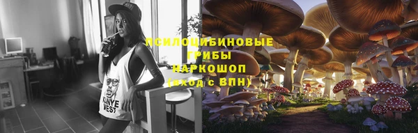 марки nbome Инсар
