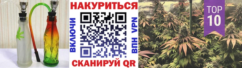 Каннабис сатива  Кировград 
